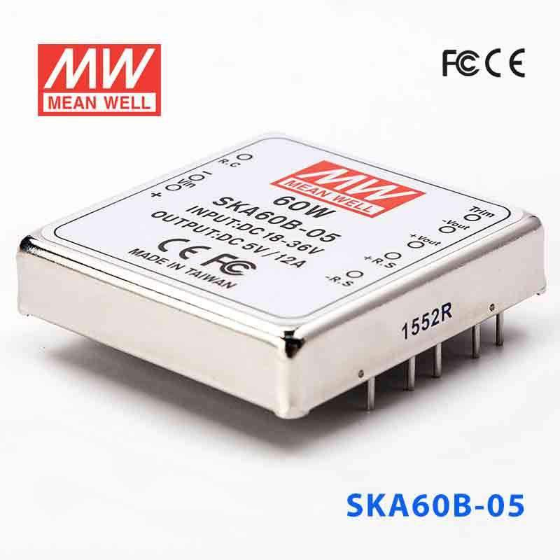 Mean Well SKA60B-05 DC-DC Converter - 60W - 18~36V in 5V out 12A