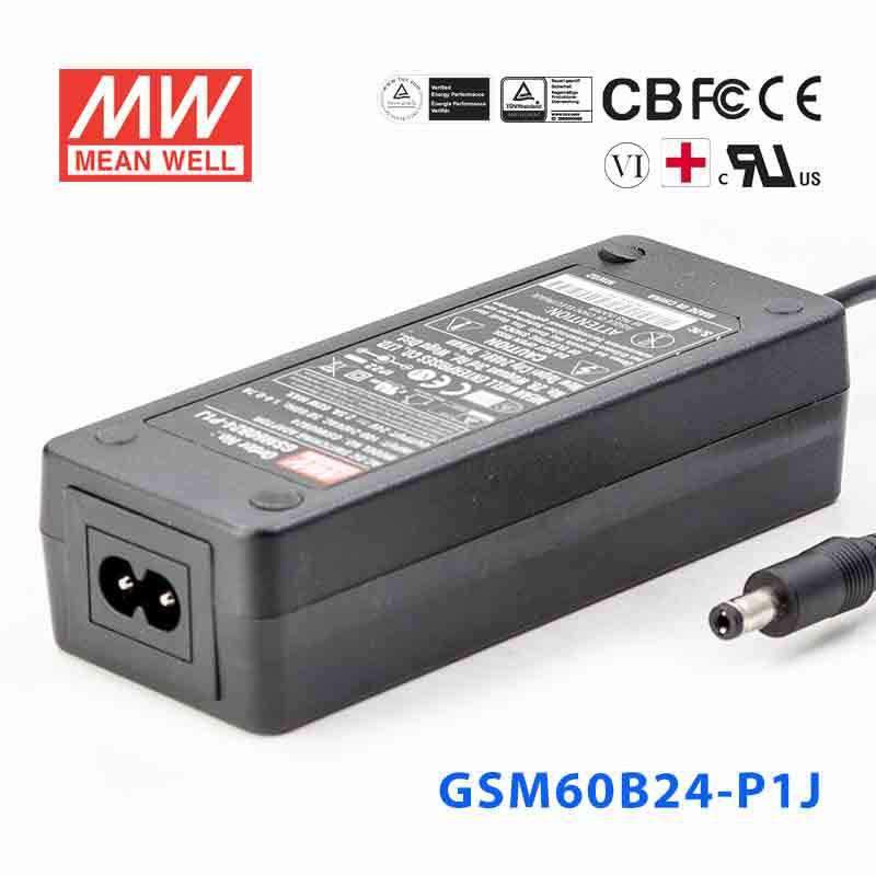 Mean Well GSM60B24-P1J Power Supply 60W 24V 2.5A