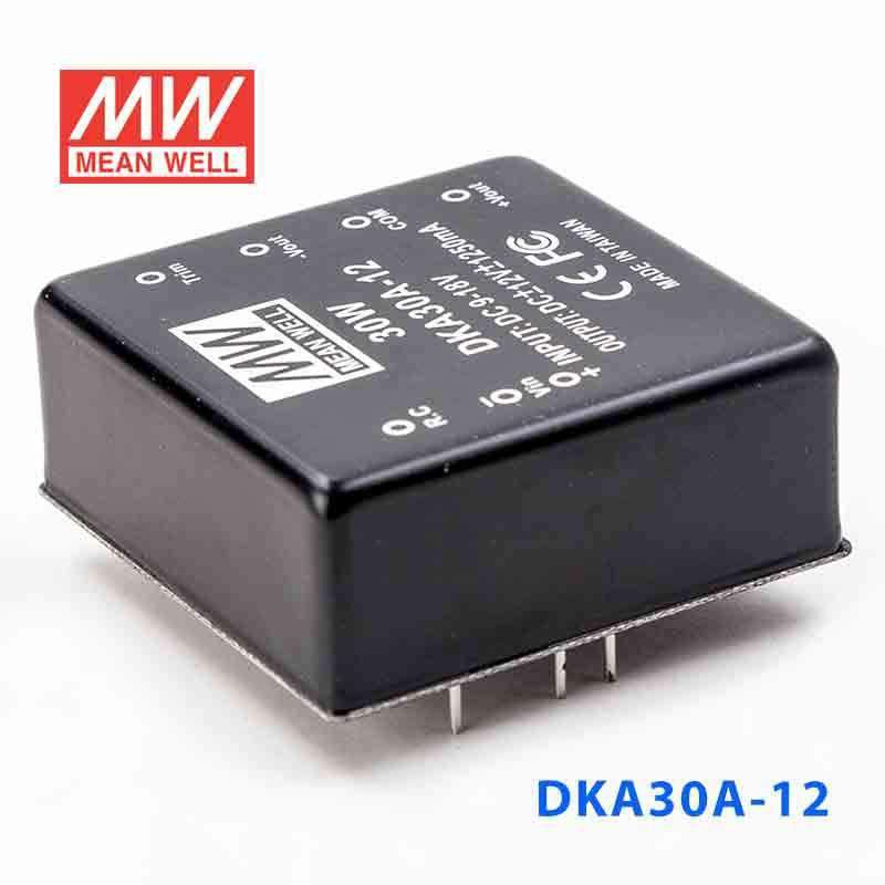Mean Well DKA30A - 12 DC - DC Converter - 30W - 9~18V in ±12V out - DKA30A - 12 - powersupplymall.com