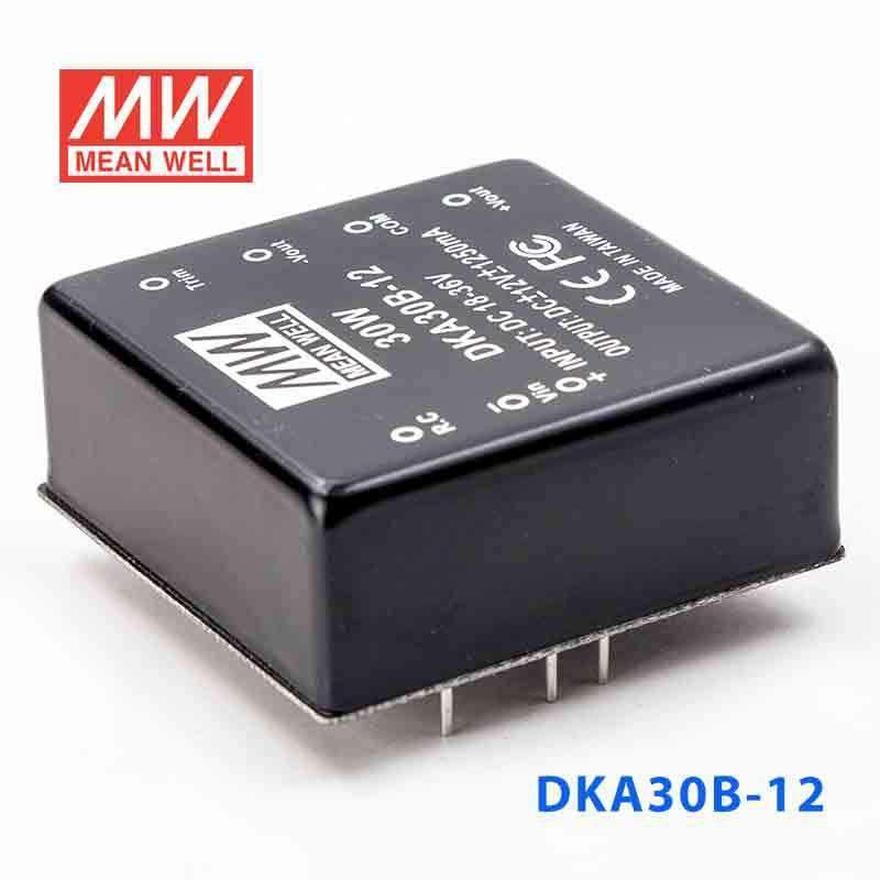 Mean Well DKA30B-12 DC-DC Converter - 30W - 18~36V in ±12V out 1.25A - DKA30B-12 - powersupplymall.com