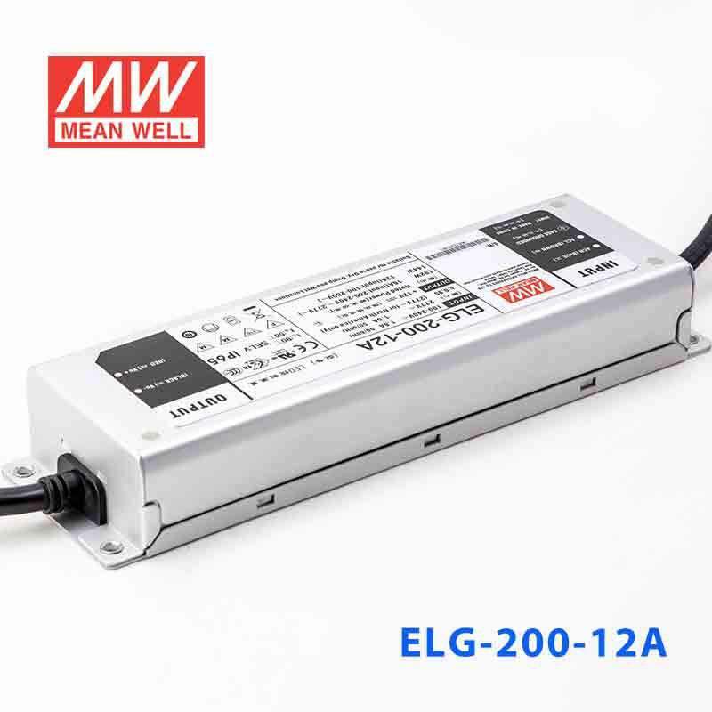 Mean Well ELG - 200 - 12A Power Supply 192W 12V - Adjustable - ELG - 200 - 12A - powersupplymall.com