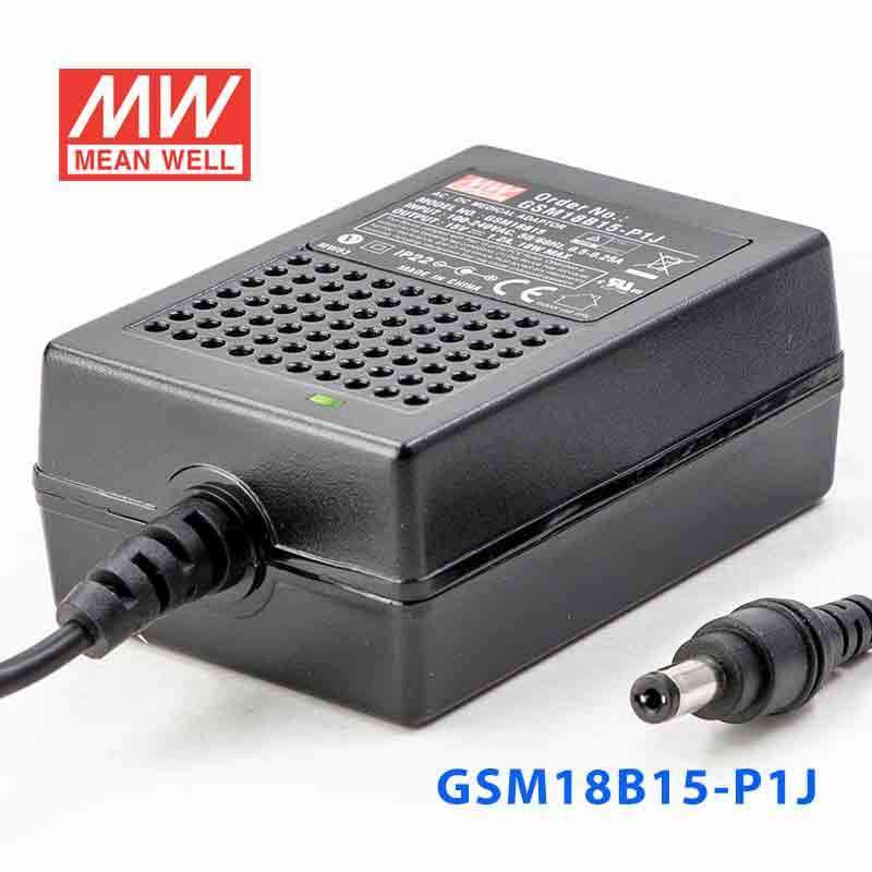 Mean Well GSM18B15 - P1J Power Supply 18W 15V - GSM18B15 - P1J - powersupplymall.com