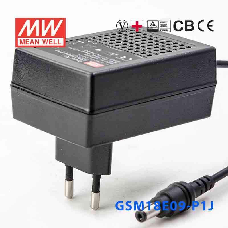 Mean Well GSM18E09 - P1J Power Supply 18W 9V - GSM18E09 - P1J - powersupplymall.com