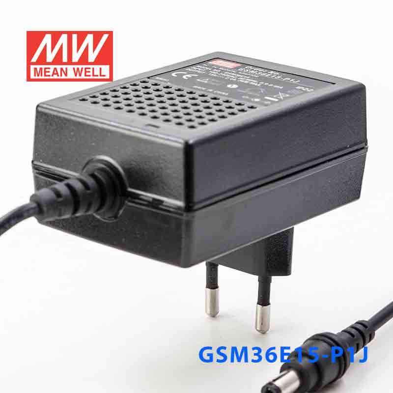 Mean Well GSM36E15 - P1J Power Supply 36W 15V - GSM36E15 - P1J - powersupplymall.com