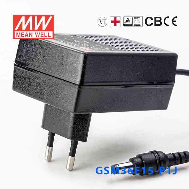 Mean Well GSM36E15 - P1J Power Supply 36W 15V - GSM36E15 - P1J - powersupplymall.com