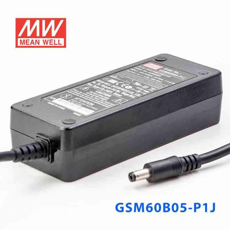 Mean Well GSM60B05 - P1J Power Supply 30W 5V - GSM60B05 - P1J - powersupplymall.com