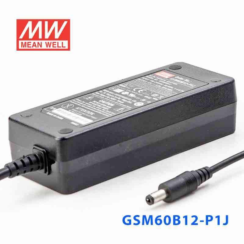 Mean Well GSM60B12 - P1J Power Supply 54W 12V - GSM60B12 - P1J - powersupplymall.com