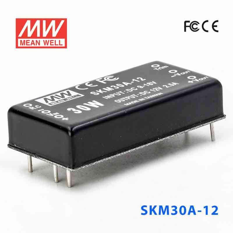 Mean Well SKM30A-12 DC-DC Converter - 30W - 9~18V in 12V out 2.5A - SKM30A-12 - powersupplymall.com