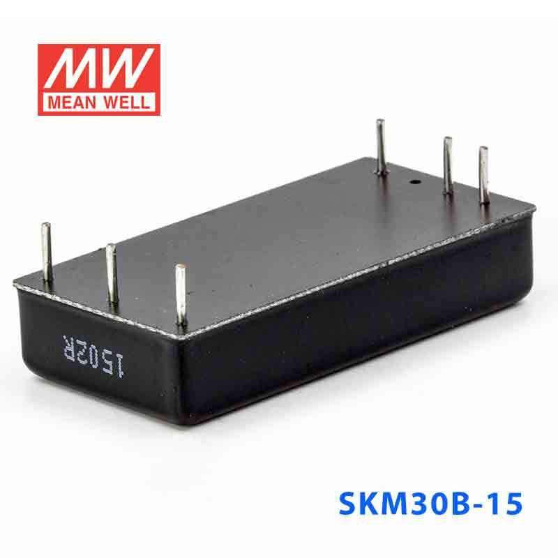 Mean Well SKM30B-15 DC-DC Converter - 30W - 18~36V in 15V out 2A - SKM30B-15 - powersupplymall.com