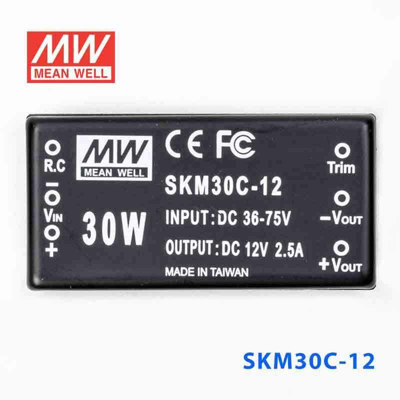 Mean Well SKM30C-12 DC-DC Converter - 30W - 36~75V in 12V out 2.5A - SKM30C-12 - powersupplymall.com