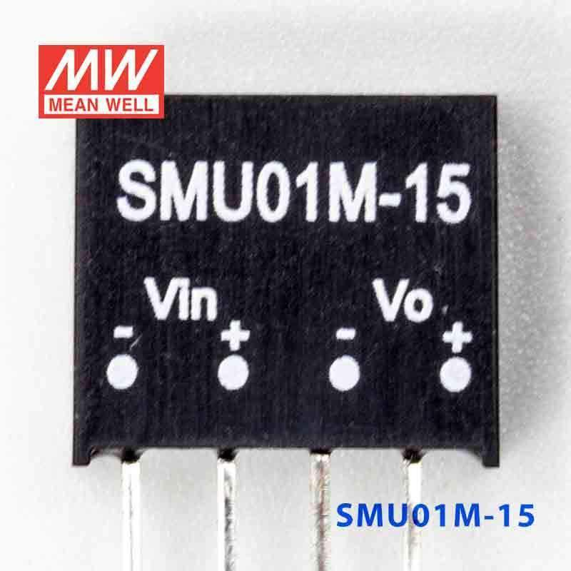 Mean Well SMU01M-15 DC-DC Converter - 1W - 10.8~13.2V in 15V out 67mA - SMU01M-15 - powersupplymall.com