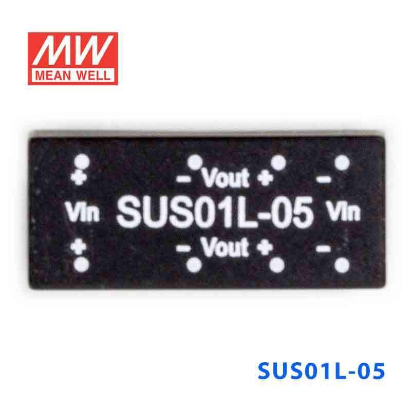 Mean Well SUS01L-05 DC-DC Converter - 1W - 4.5~5.5V in 5V out - SUS01L-05 - powersupplymall.com