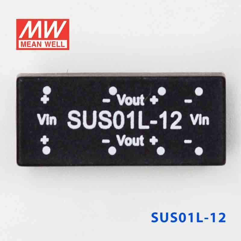 Mean Well SUS01L-12 DC-DC Converter - 1W - 4.5~5.5V in 12V out - SUS01L-12 - powersupplymall.com