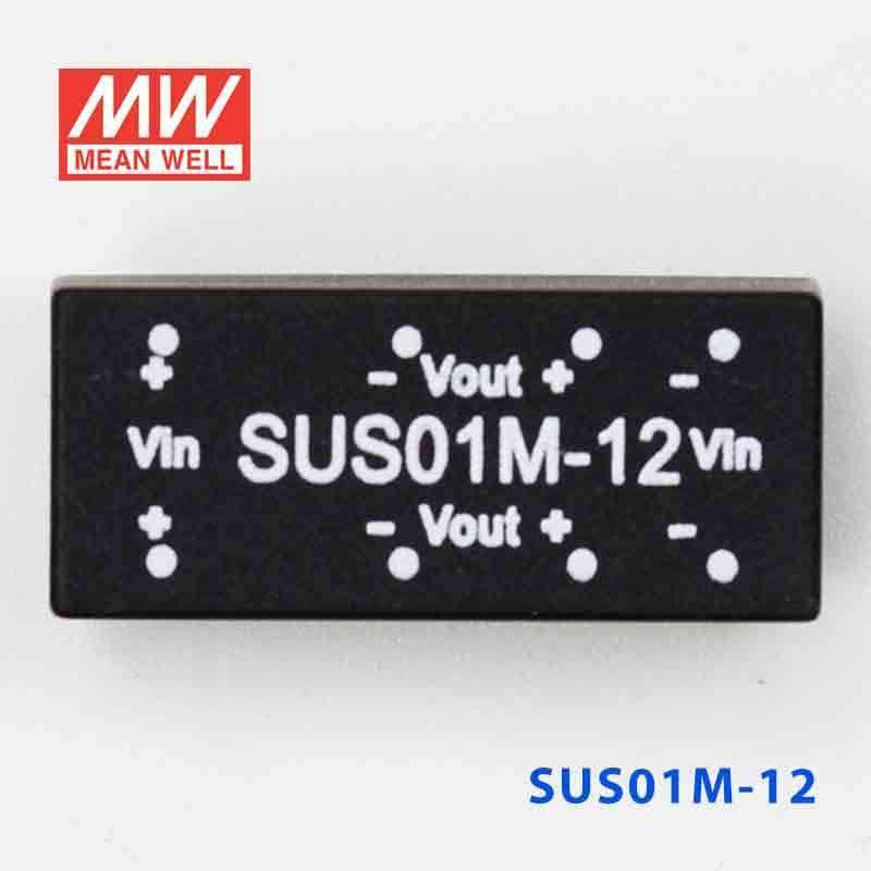Mean Well SUS01M-12 DC-DC Converter - 1W - 10.8~13.2V in 12V out - SUS01M-12 - powersupplymall.com