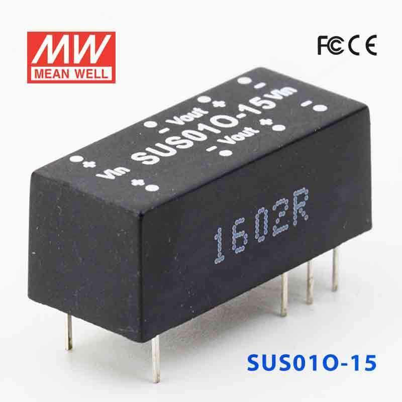 Mean Well SUS01O-15 DC-DC Converter - 1W - 43.2~52.8V in 15V out - SUS01O-15 - powersupplymall.com