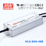 Mean Well HLG Series LED Power Supply 48V  (40~150W)