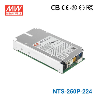 Mean Well NTS-250P-224 True Sine Wave DC-AC Inverter 250W 230V out 24V in