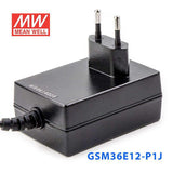 Mean Well GSM36E12-P1J Power Supply 36W12V - PHOTO 3