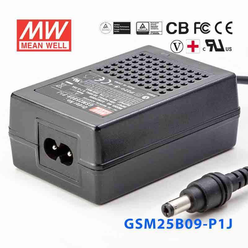 Mean Well GSM25B09-P1J Power Supply 25W 9V 2.77A