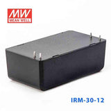 Mean Well IRM-30-12 Switching Power Supply 3W 12V 2.5A - Encapsulated - PHOTO 3