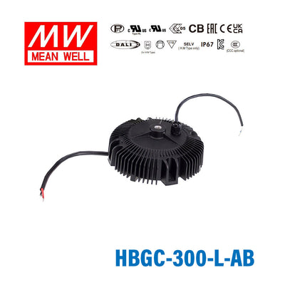 Mean Well HBGC-300-L-AB Power Supply 300W 1400mA - Adjustable and Dimmable