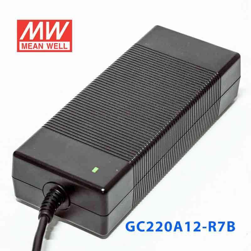 Mean Well GC220A12-R7B Portable Chargers 183.6W 13.6V 13.5A - Green Adaptor - PHOTO 4
