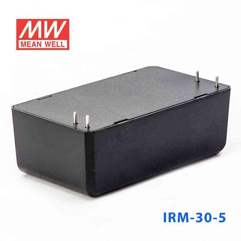 Mean Well IRM-30-5 Switching Power Supply 3W 5V 6A - Encapsulated - PHOTO 3