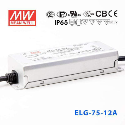 Mean Well ELG-75-12A Power Supply 60W 12V - Adjustable 5A