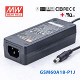 Mean Well GSM60A18-P1J Power Supply 60W 18V 3.33A