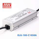 Mean Well ELG-100-C1050A Power Supply 100W 1050mA - Adjustable - PHOTO 3