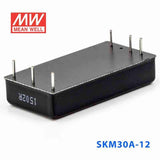 Mean Well SKM30A-12 DC-DC Converter - 30W - 9~18V in 12V out - PHOTO 3
