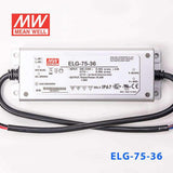 Mean Well ELG-75-36 Power Supply 75W 36V 2.1A - PHOTO 2