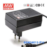 Mean Well GSM36E12-P1J Power Supply 36W12V