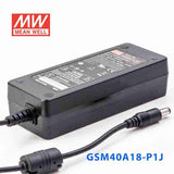 Mean Well GSM40A18-P1J Power Supply 40W 18V 2.22A - PHOTO 1