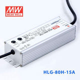 Mean Well HLG-80H-15A Power Supply 75W 15V - Adjustable 5A - PHOTO 3