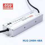 Mean Well HLG-240H-48A Power Supply 240W 48V - Adjustable - PHOTO 3
