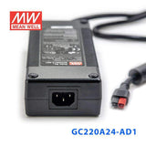Mean Well GC220A24-AD1 Portable Chargers 217.6W 27.2V 8A - Green Adaptor - PHOTO 3