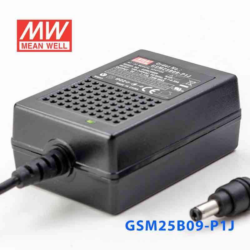 Mean Well GSM25B09-P1J Power Supply 25W 9V 2.77A - PHOTO 1