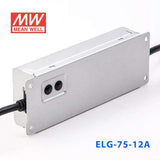 Mean Well ELG-75-12A Power Supply 60W 12V - Adjustable 5A - PHOTO 4