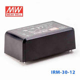 Mean Well IRM-30-12 Switching Power Supply 3W 12V 2.5A - Encapsulated - PHOTO 1