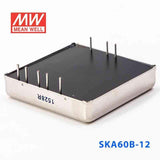 Mean Well SKA60B-12 DC-DC Converter - 60W - 18~36V in 12V out 5A - PHOTO 3