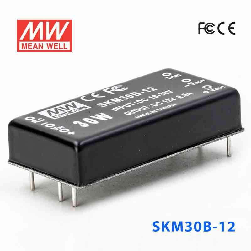 Mean Well SKM30B-12 DC-DC Converter - 30W - 18~36V in 12V out