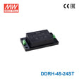 Mean Well DDRH-45-24ST Ultra Wide Input DC-DC Converter, 45W 24V, Screw Terminal Type 1.87A - DDRH-45-24ST - powersupplymall.com