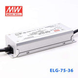Mean Well ELG - 75 - 36 Power Supply 75W 36V - ELG-75-36 - powersupplymall.com