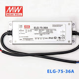 Mean Well ELG - 75 - 36A Power Supply 75W 36V - Adjustable - ELG-75-36A - powersupplymall.com