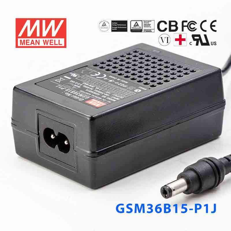 Mean Well GSM Series Power Supply 15V (18~220W) -  - powersupplymall.com