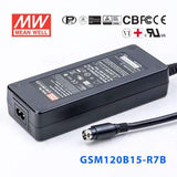 Mean Well GSM Series Power Supply 15V (18~220W) -  - powersupplymall.com