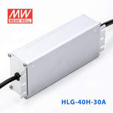 Mean Well HLG-40H-30A Power Supply 40W 30V - Adjustable 1.34A - HLG-40H-30A - powersupplymall.com