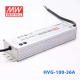 Mean Well HVG-100-36A Power Supply 100W 36V - Adjustable 2.65A - HVG-100-36A - powersupplymall.com