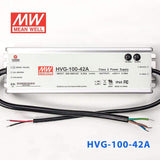 Mean Well HVG-100-42A Power Supply 100W 42V - Adjustable 2.28A - HVG-100-42A - powersupplymall.com